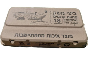 תמונה ביצים קדומים 2