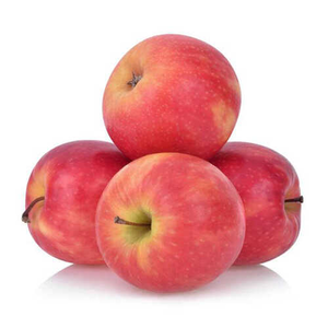 תפוח-פינק-ליידי-ישראלי-כ-703656757.png