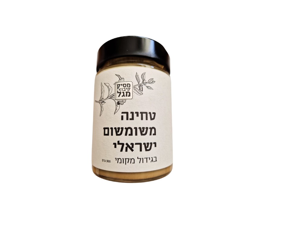עיצוב ללא שם