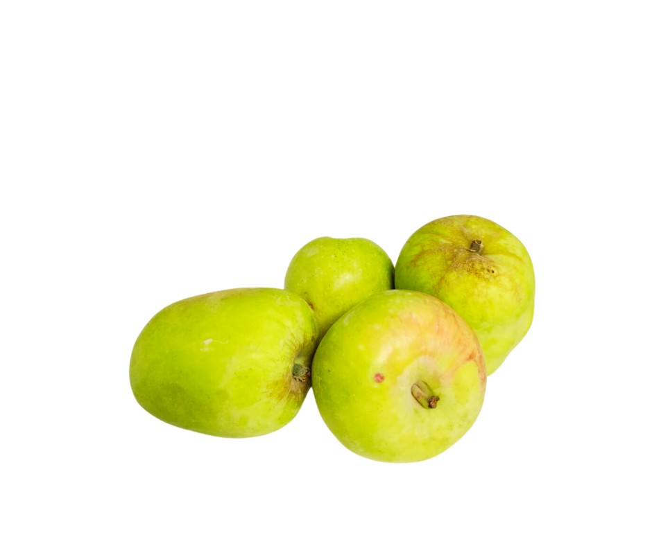 עיצוב ללא שם