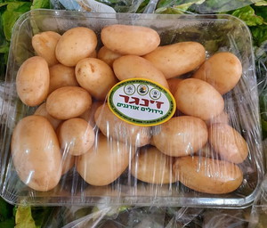 תמונה1