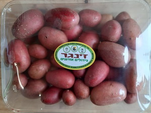 מיני